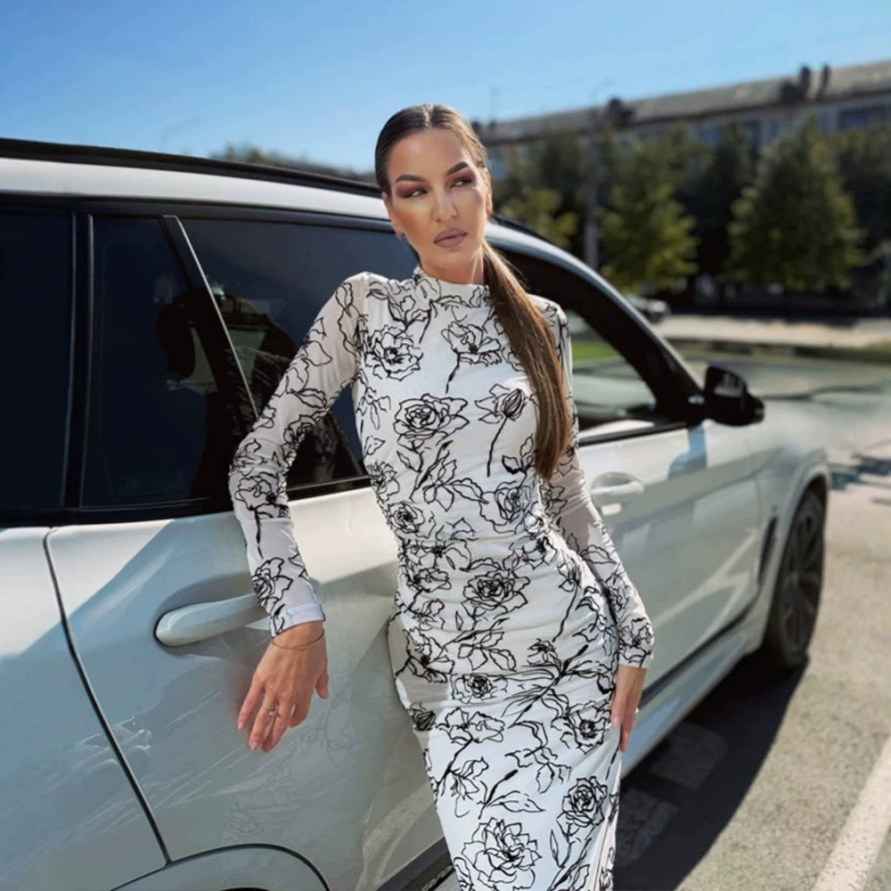 ZARA Feng Chic Mock Neck Long Sleeve Bodycon Printed Dress Women Fall Winter New